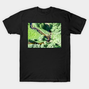 Aerial view of canoes on Marycha river on a sunny day T-Shirt